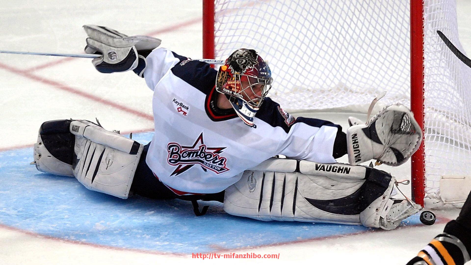 秘饭直播-法甲赛季最佳前锋球员：法甲赛季最佳前锋球员排名与表现回顾