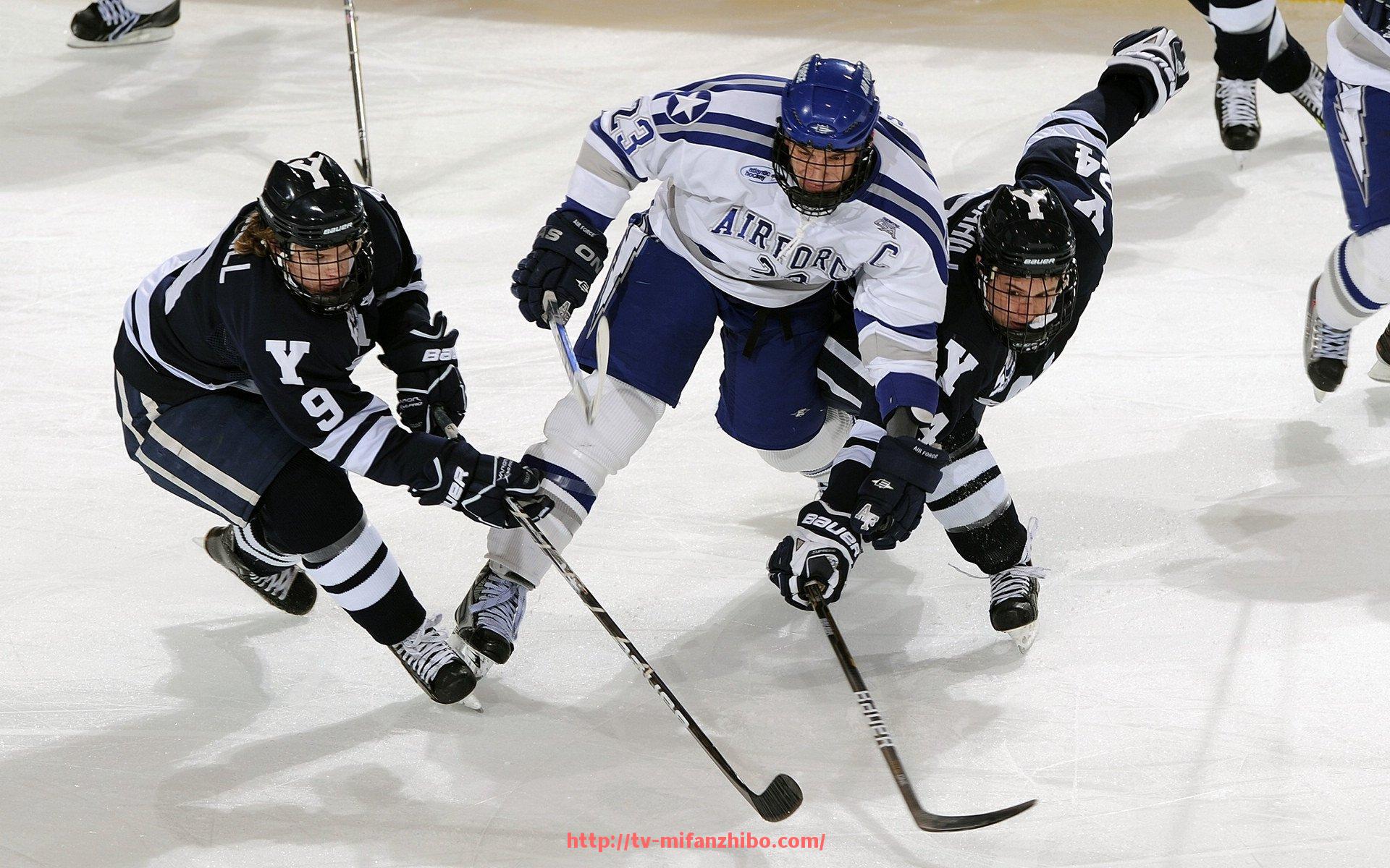 秘饭直播-德甲球队队徽含义全解析：从颜色到图形的背后寓意