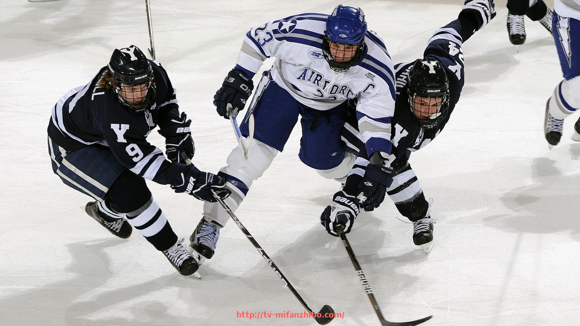 秘饭直播-2024年法甲外援技术效果及比赛表现综合评估