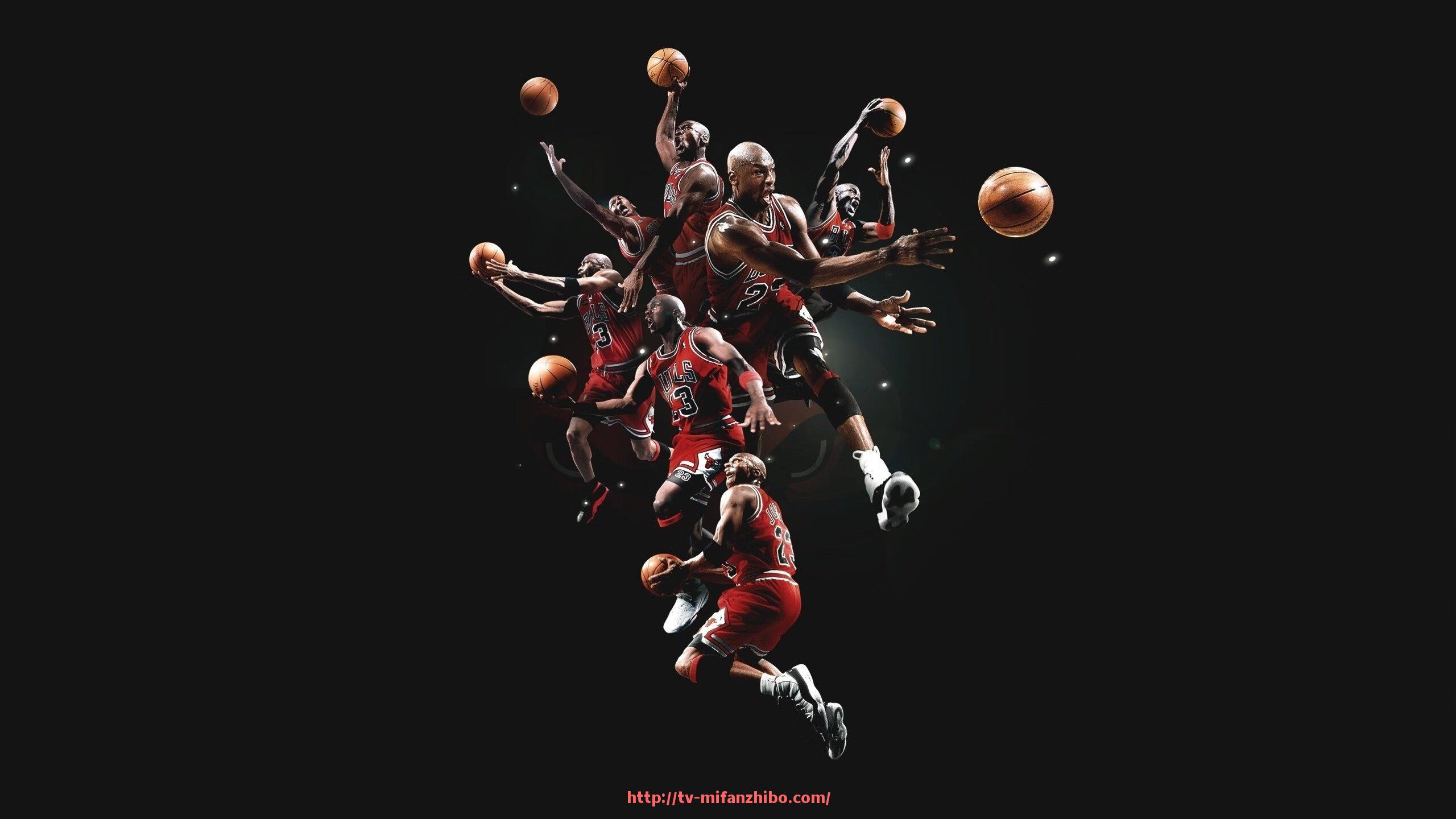 秘饭直播-复健健身器材：适用于康复训练的专业健身器材推荐