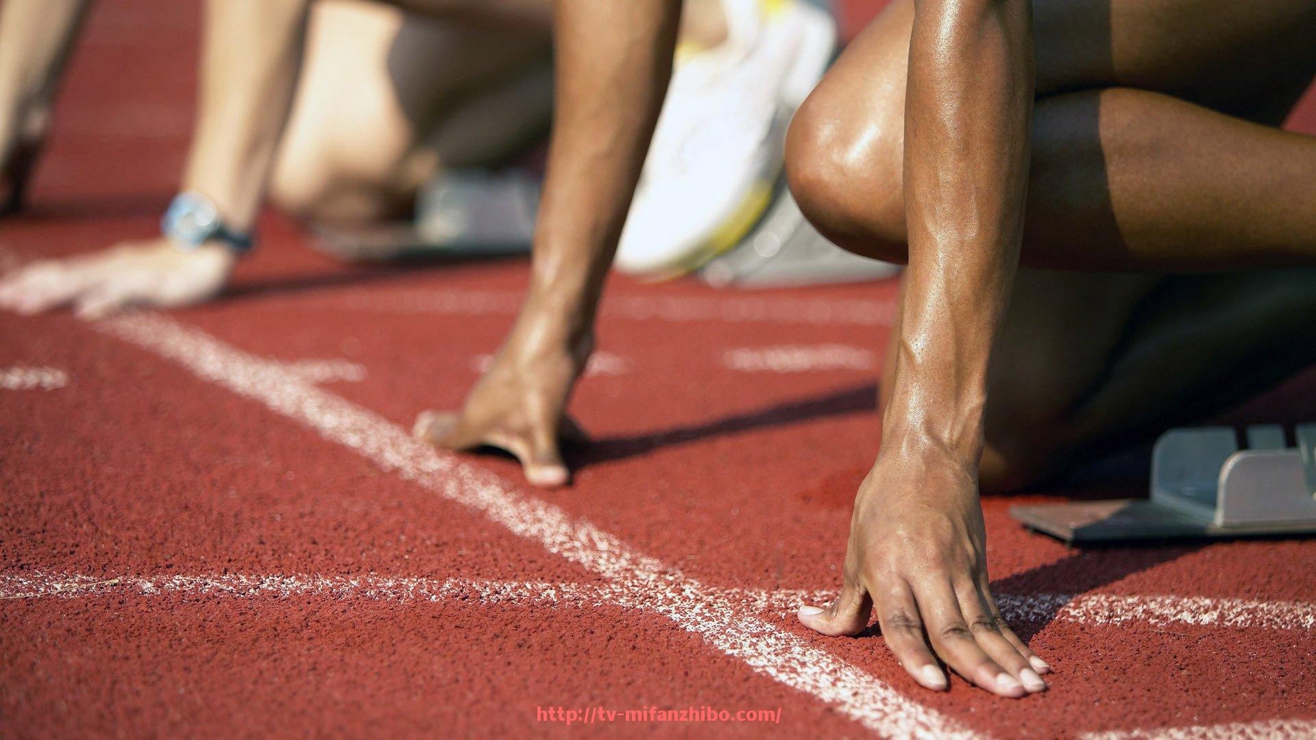 秘饭直播-曼城世俱杯中国订阅入口推荐及会员服务优势解析